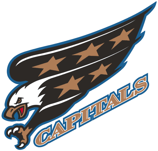 Washington Capitals 1997-2007 Wordmark Logo iron on heat transfer